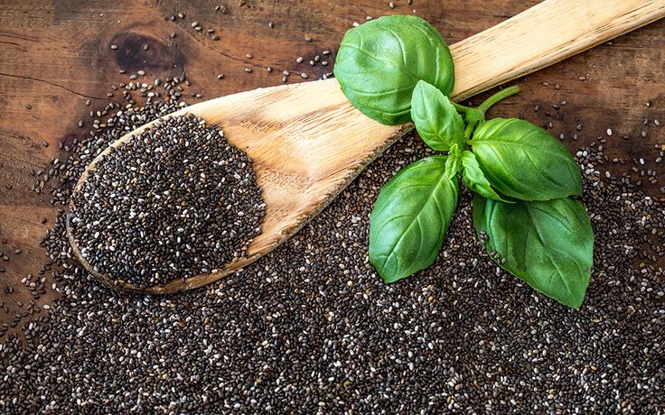 basil 1